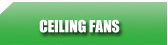 Ceiling Fans
